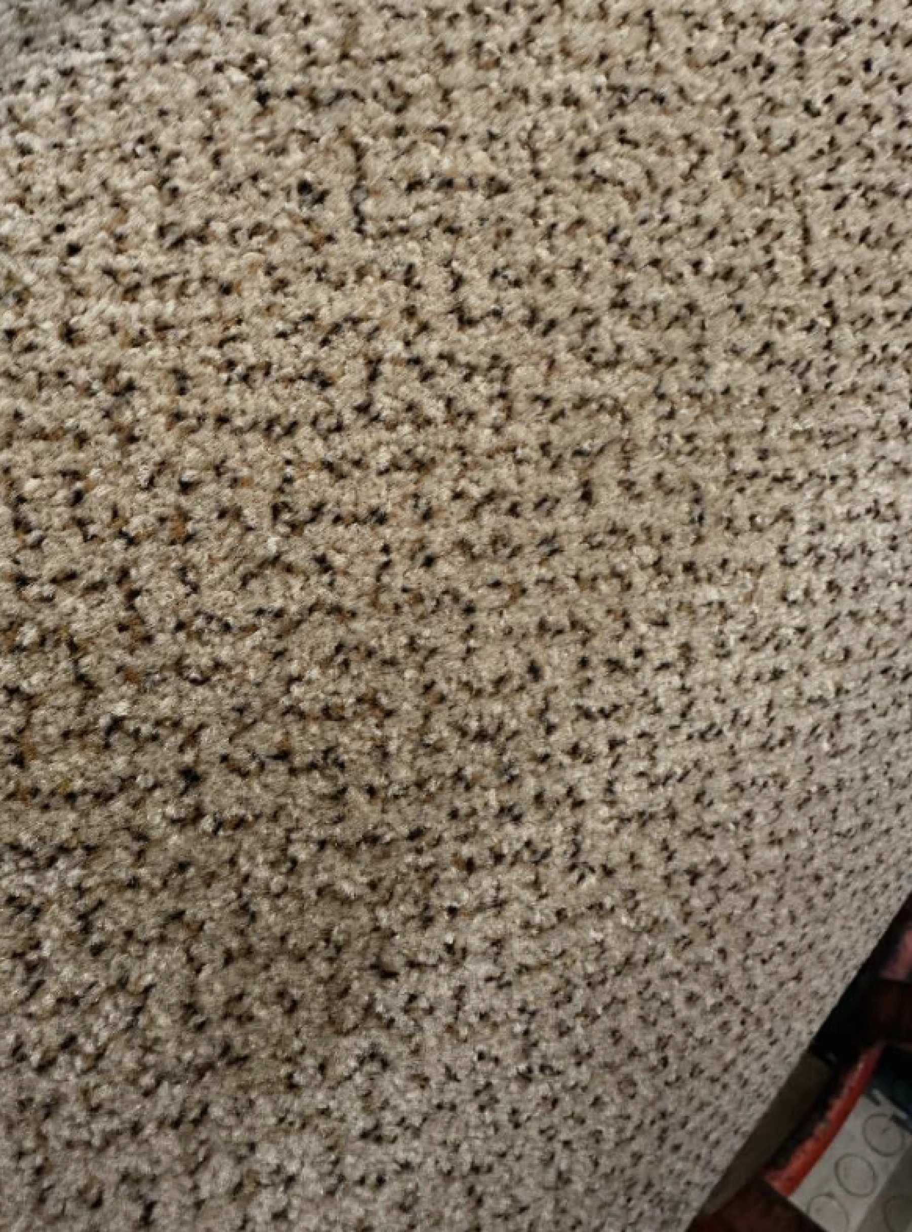 Coin des affaires - Moquettes - Tapis