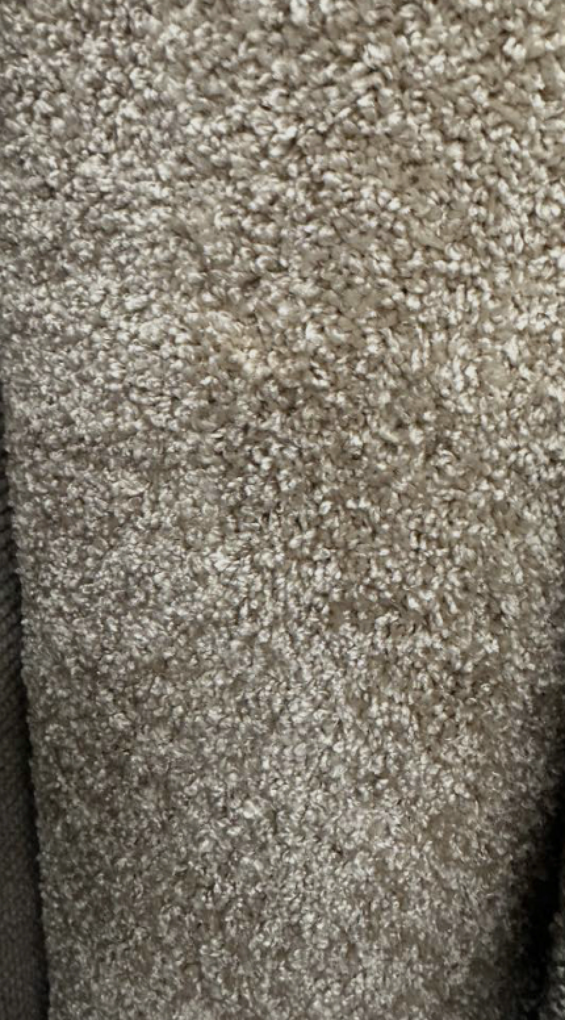 Coin des Affaires revêtements: Tapis multicolore