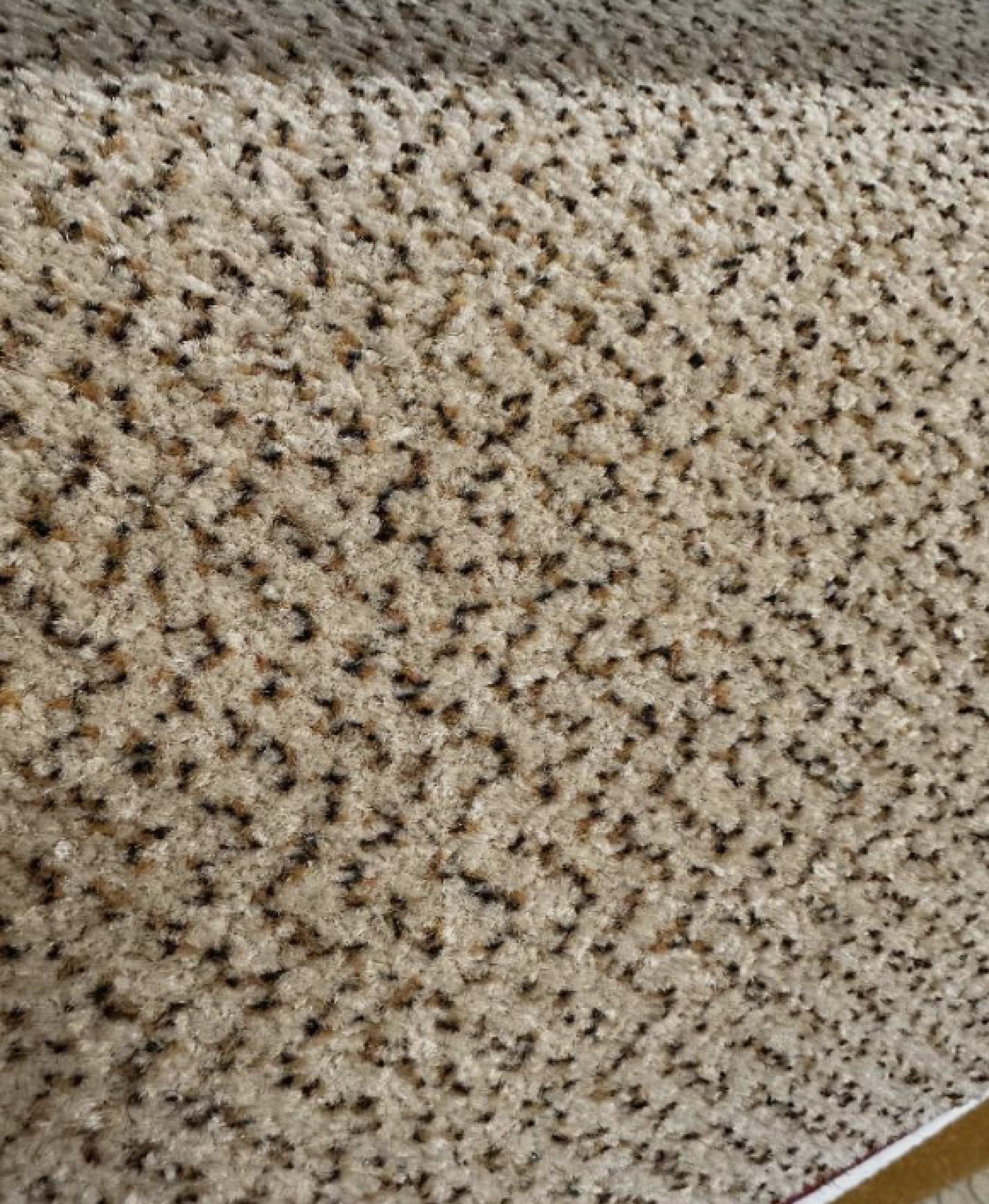 Coin des Affaires revêtements: Moquette à motif